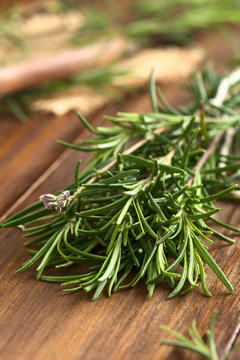Fresh rosemary (lat. Rosmarinus officinalis) branches on dark wood, photographed with natural light (Selective Focus, Focus one third into the leaves and on the flower buds)