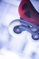 Freestyle inline skates in store