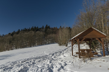 Forest near Cereniste and Tasov village