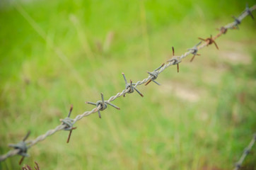 rusty barbed wire fence
