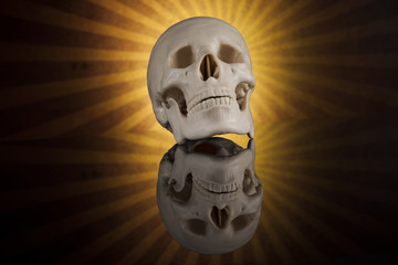 Human skull, black mirror background