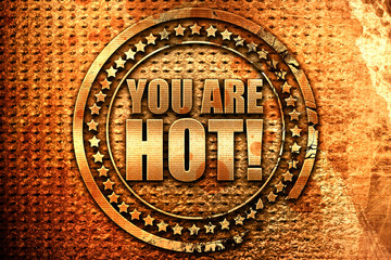 you are hot!, 3D rendering, grunge metal stamp