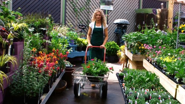 Female florist using garden trolley