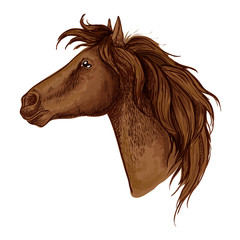 Brown graceful royal horse portrait
