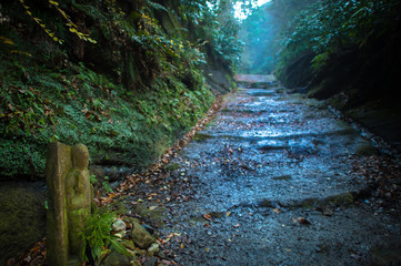 鎌倉の朝比奈切通し