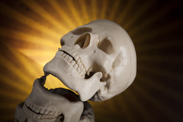 Human skull, black mirror background