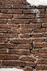 Background white wall.