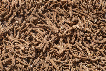 dried herbal Ginseng, Angelica sinensis Diels. or Livisticum officnale Koch.