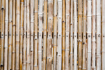 Background bamboo fence.