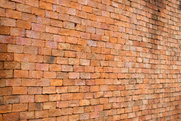 Background brick wall.