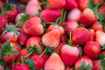 red pink sweet strawberry