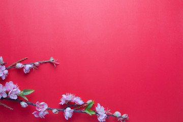 Pink plum blossom on red
