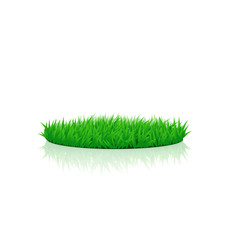 round grass field 01