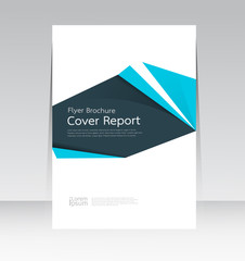 Fototapeta premium Vector design for Cover Report Annual Flyer Poster in A4 size
