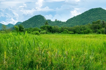 Landscape of tall grass field, green mountains and blue sky as background, Kanchanaburi, Thailand