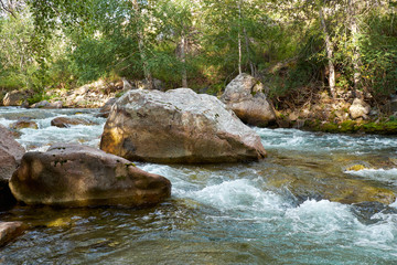 Altai landscape river Ilgumen