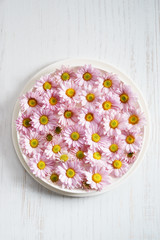 pink chrysanthemum flowers