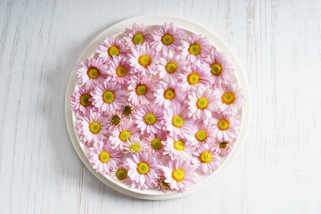 Fototapeta na wymiar pink chrysanthemum flowers