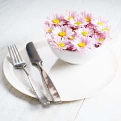 pink chrysanthemum flowers