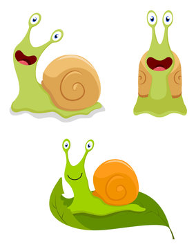 Cute snail cartoon 