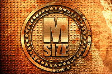 m size, 3D rendering, grunge metal stamp