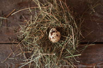 Straw nest with one egg on table flat lay. Top view on dark wooden background with bunch of dry grass and only quail egg in it. Spring, new life, nature concept