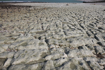 Closeup and detail of amazing row of eroded white stones at low tide, Etretat, Normandy, France