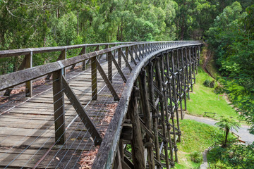 Fototapeta na wymiar Noojee old trestle bridge in eucalyptus forest.
