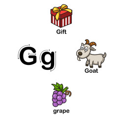 Alphabet Letter G-gift,goat,grape  illustration