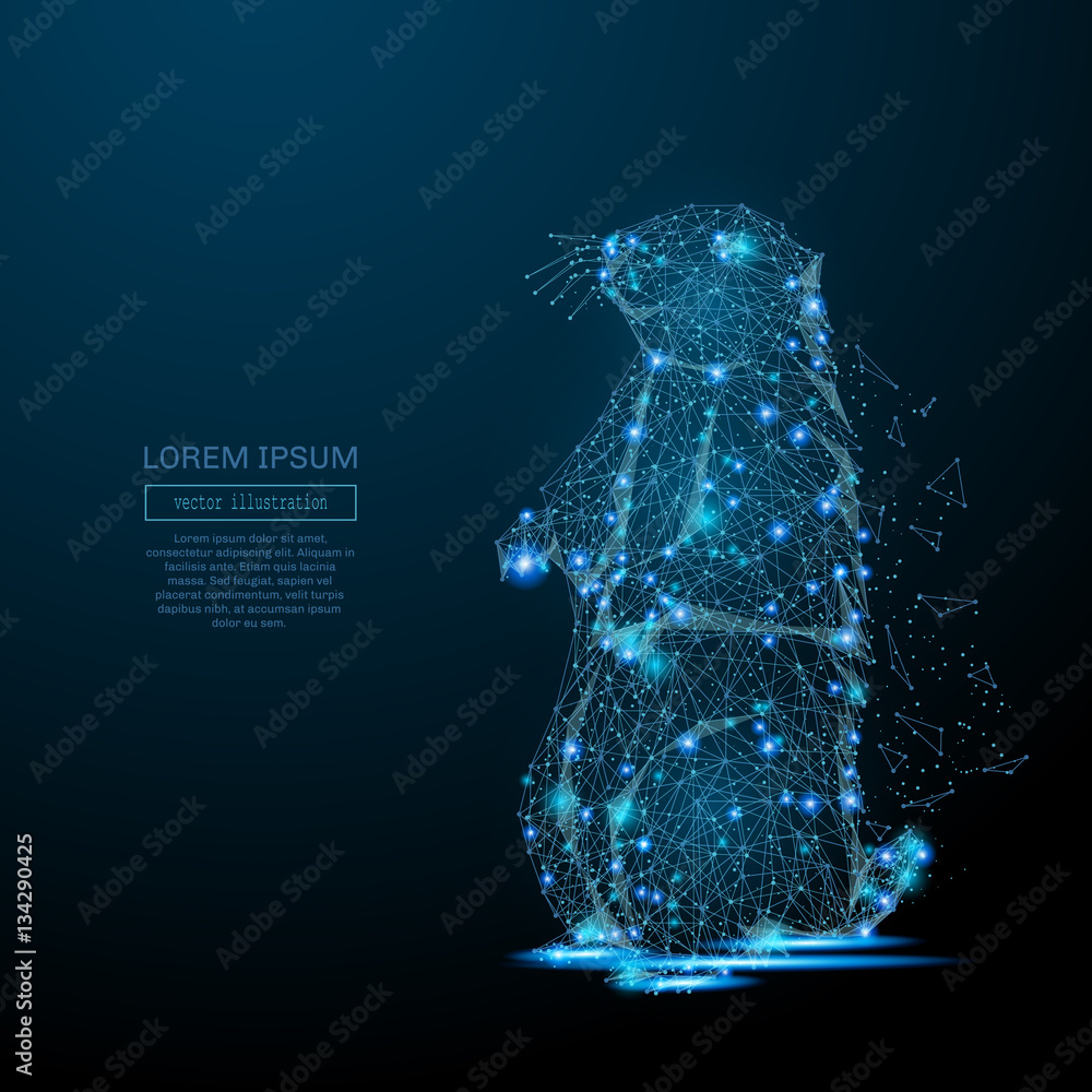Poster abstract image of a groundhog in the form of a starry sky or space, consisting of points, lines, and