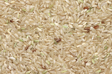 Pile of brown rice