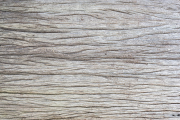 Fototapeta premium Texture of crack wood