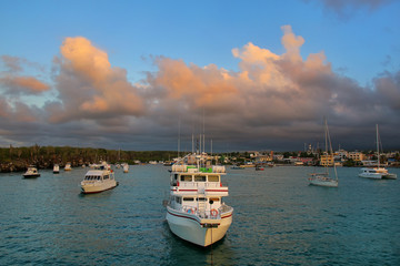 Boats anchored in Academy Bay near Puerto Ayora on Santa Cruz Is