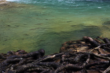 Khao Cha Mao Waterfall in Rayong Thailand
