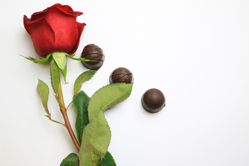Rose and chocolates