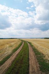 Fototapeta na wymiar Scenic rural road and fields in summer landscape