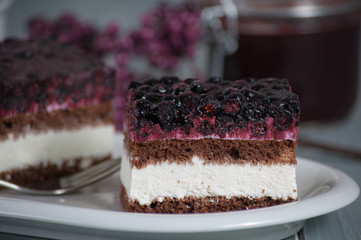 Blaubeer-Joghurt Torte