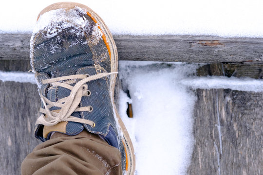 Traveller Boot in winter on a background of snow and wooden boards
