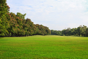 Obraz premium Public park with green grass field