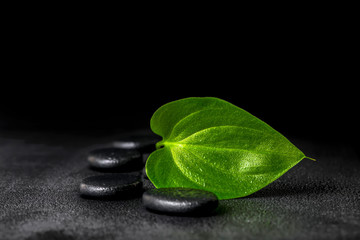 spa still life of zen stones and green leaf on black background