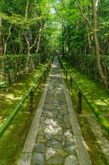 japanese landscape - kotoin - kyoto