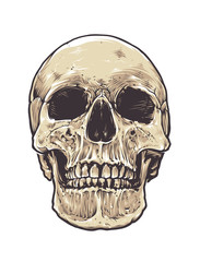 Anatomic Grunge Skull