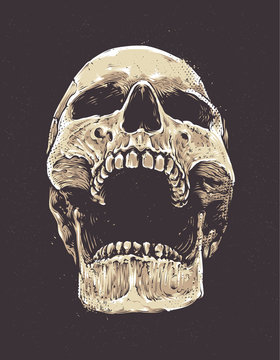 Naklejki Anatomic Grunge Skull