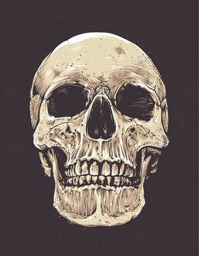 Anatomic Grunge Skull