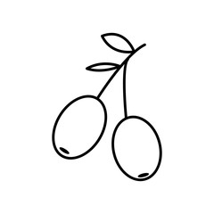 Olives icon vector