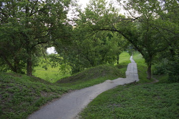 Fototapeta premium Green park