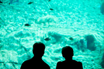 Two people look at a big aquarium