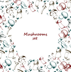 Mushrooms arranged in frame