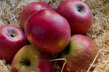 Stayman vinesap red apple
