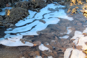 White pattern in a frozen puddle in January